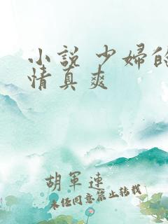 小说 少妇的激情真爽