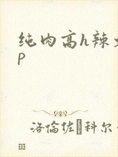 纯肉高h辣文np