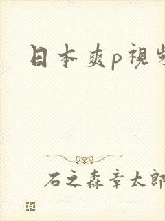 日本爽p视频w
