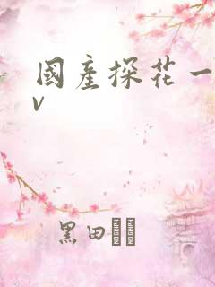 国产探花一级av