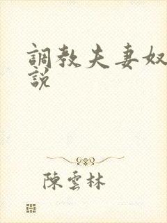 调教夫妻奴的小说