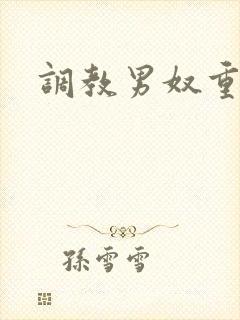 调教男奴重口味