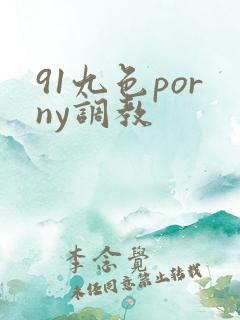 91九色porny调教