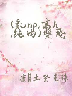 (乱np,高h,纯肉)双飞
