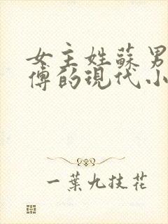 女主姓苏男主姓傅的现代小说总裁