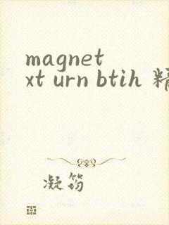 magnet xt urn btih 精品