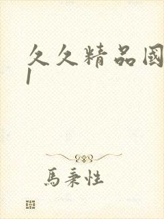 久久精品国产91