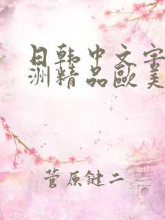 日韩中文字幕亚洲精品欧美人妻在线