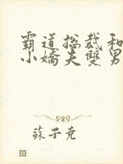 霸道总裁和他的小娇夫双男主