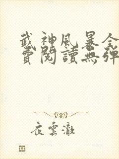 武神风暴全文免费阅读无弹窗笔趣阁