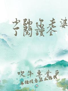 少帅你老婆又跑了阅读全