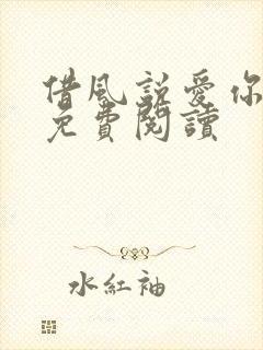 借风说爱你小说免费阅读