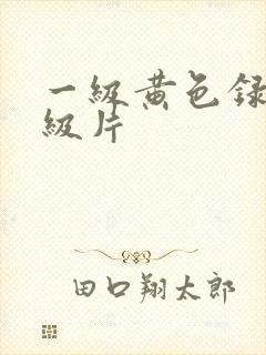 一级黄色录像特级片