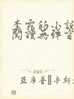 李霖的小说免费阅读无弹窗