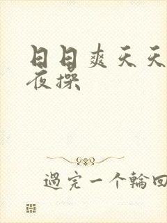 日日爽天天弄夜夜操