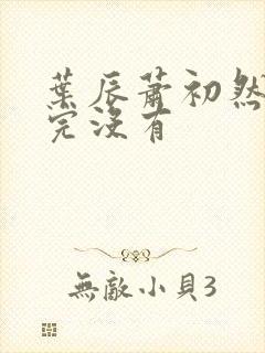 叶辰萧初然更新完没有