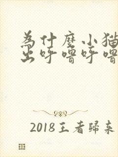 为什么小猫会发出呼噜呼噜的声音