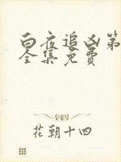 白夜追凶第二季全集免费