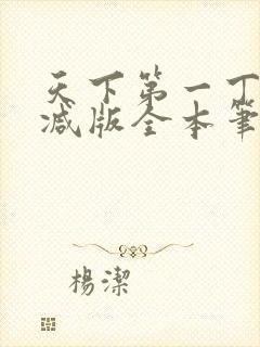 天下第一丁无删减版全本笔趣阁