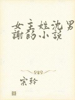 女主姓沈男主姓谢的小说