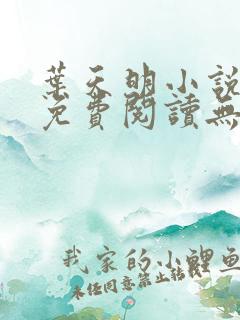 叶天明小说全文免费阅读无弹窗最新章节