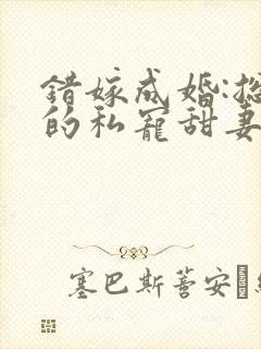 错嫁成婚:总裁的私宠甜妻小说