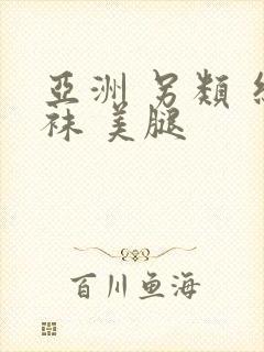 亚洲 另类 丝袜 美腿