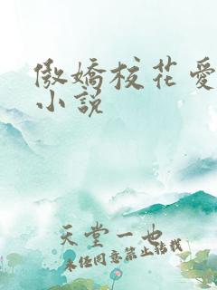 傲娇校花爱上我小说