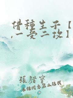 借种生子【双性,一受二攻】