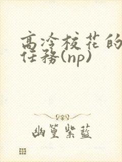 高冷校花的羞耻任务(np)