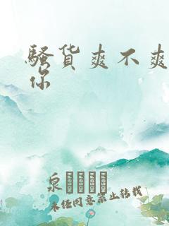 骚货爽不爽插死你