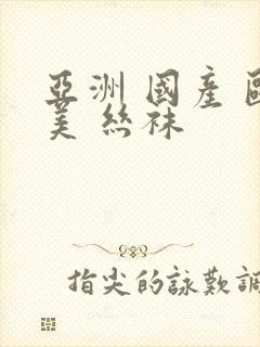 亚洲 国产 欧美 丝袜