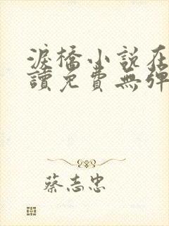 泪桥小说在线阅读免费无弹窗