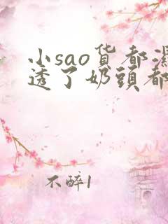 小sao货都湿透了奶头都硬了小说