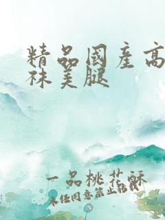 精品国产高跟丝袜美腿