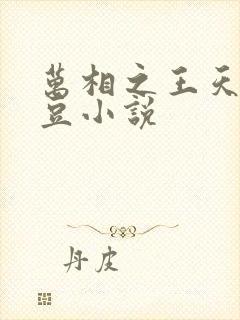 万相之王天蚕土豆小说