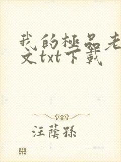 我的极品老婆全文txt下载