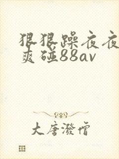 狠狠躁夜夜躁人爽碰88av