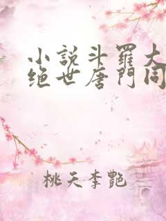 小说斗罗大陆2绝世唐门同人