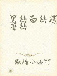 黑丝白丝还有什么丝