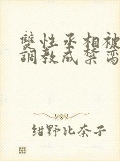 双性丞相被皇帝调教成禁脔