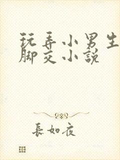 玩弄小男生玉足脚交小说