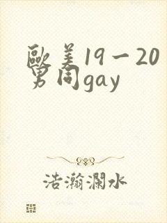 欧美19一20男同gay