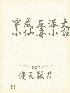 穿成反派大佬的小仙妻小说免费阅读