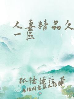 人妻精品久久久一区