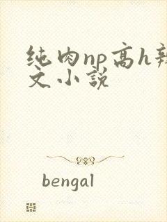 纯肉np高h辣文小说