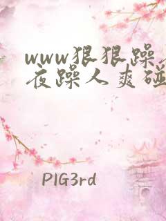 www狠狠躁夜夜躁人爽碰av