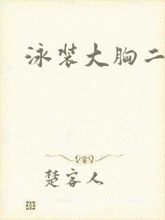 泳装大胸二次元