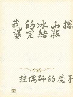 我的冰山总裁老婆完结版