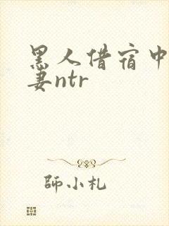 黑人借宿中出人妻ntr